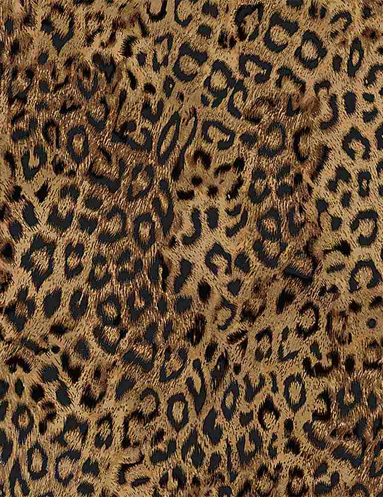 Patchwork -  Leopard